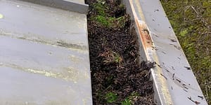 Gutter cleaning offered through Home Service Solutions